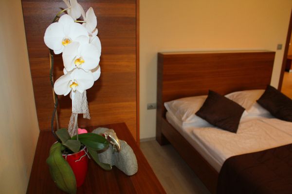 Villa Aina boutique Hotel (Lasko)